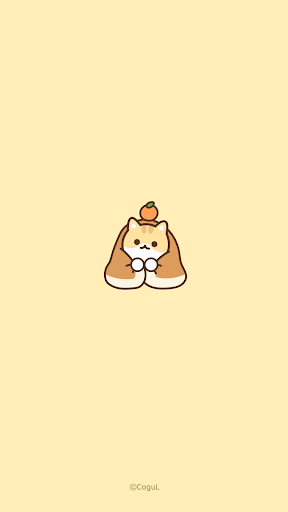 Android application 카카오톡 테마 - 치즈 냥이 귤 screenshort