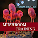 Mushroom training Download on Windows