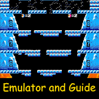 Arcade Ice climber guide