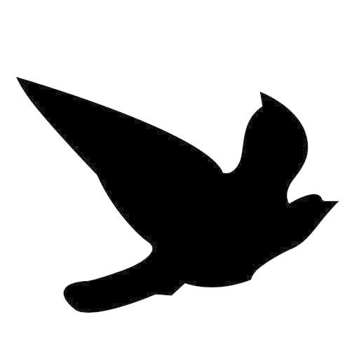 Blackbird Worldwide Corp.  Icon