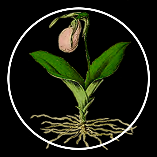 UnearthU logo