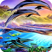 Dolphin Wallpaper Best HD
