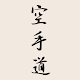 Karate Shotokan Guide Download on Windows