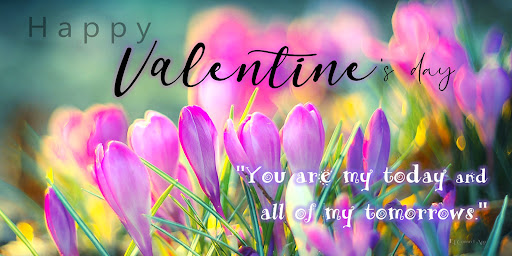 Android application Happy Valentine's Day screenshort