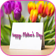 Cute Mothers Day Cards Download on Windows