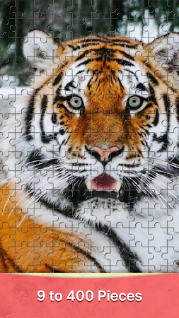 Game screenshot Jigsaw HD apk download