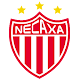 Club Necaxa Скачать для Windows