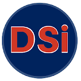 DSi icon