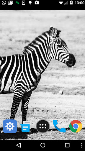 zebra wallpaper Screen 2