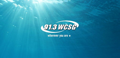 91.3 WCSG