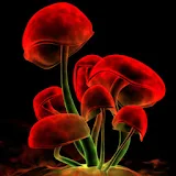 3D red Mushrooms icon