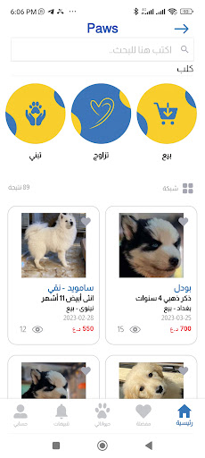 Paws Screen 3
