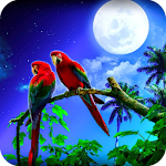 Cover Image of Download Parrot HD Wallpaper  APK