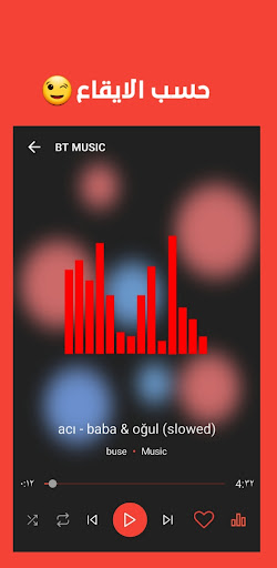 BT MUSIC Screen 3