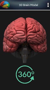 3D menschliches Gehirn + Screenshot