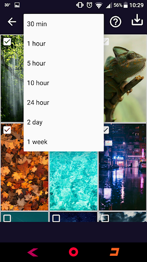 Walrex hd wallpapers Screen 3
