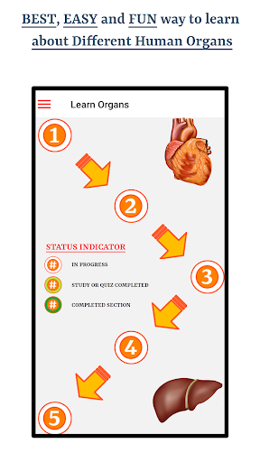 Android application Learn About Human Organs screenshort