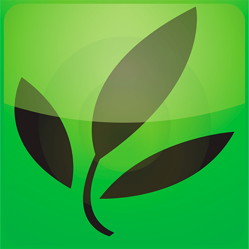 KIWI-Laurel logo