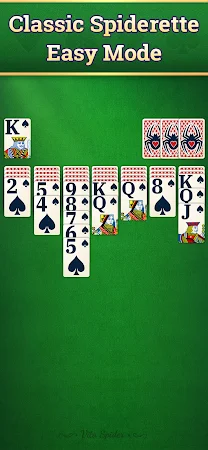 Game screenshot Vita Spider Solitaire apk download