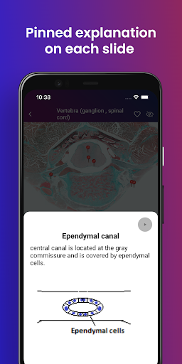 Ehistolab - Histology Slides Screen 3