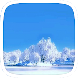 Winter Blue Theme icon