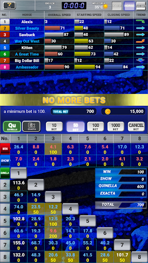 Horse Racing Bet Screen 2