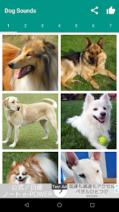 Dog Video Creator (Dog Sounds) スクリーンショット
