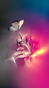 Butterfly -Wallpapers
