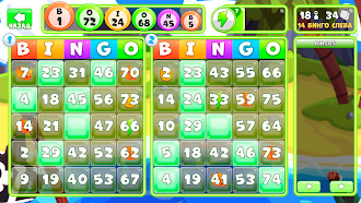 Game screenshot Бинго - игры без интернета apk download