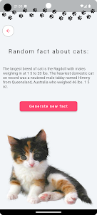 888b - Random Cat Facts