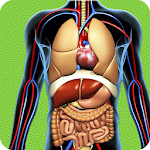Cover Image of Download Human Anatomy Pro Trivia  APK