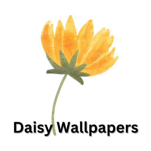 Android application Daisy Wallpapers screenshort