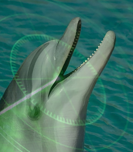 Android application Ocean sonar sounds screenshort