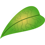 Cover Image of ダウンロード Biological terminology 2.3.2 APK