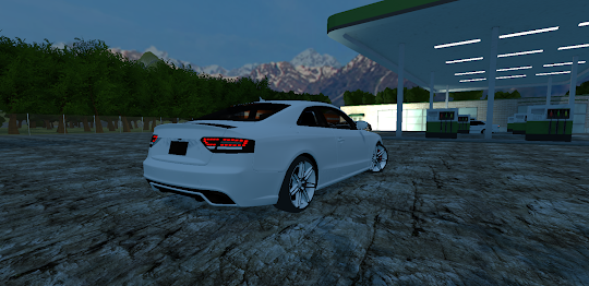 Audi Driving Simulator