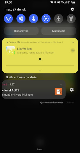 Virtual FM Screen 2