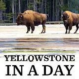 Yellowstone in a Day icon