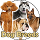 Dog Breeds | Golden Retriever | Rottweiler Baixe no Windows