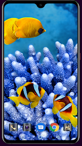 HD Fish Wallpaper  screenshots 10