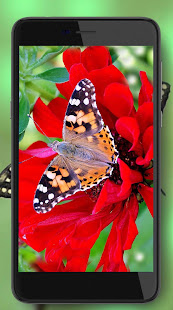 Butterflies and Flowers 1.3 APK screenshots 5