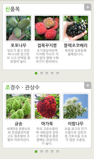 옥천묘목특구 대림묘목농원 Screen 2