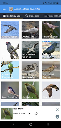 Android application Australian Birds Sounds Pro screenshort