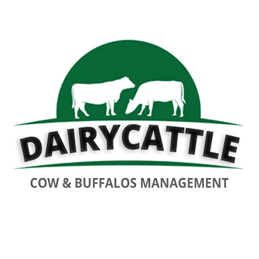 DairyCattle logo
