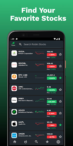 Robin Stocks - Quotes & News Screen 3