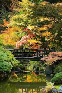 Fondo pantalla jardín japonés