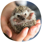 How to Take Care of Small & Exotic Pets (Guide)