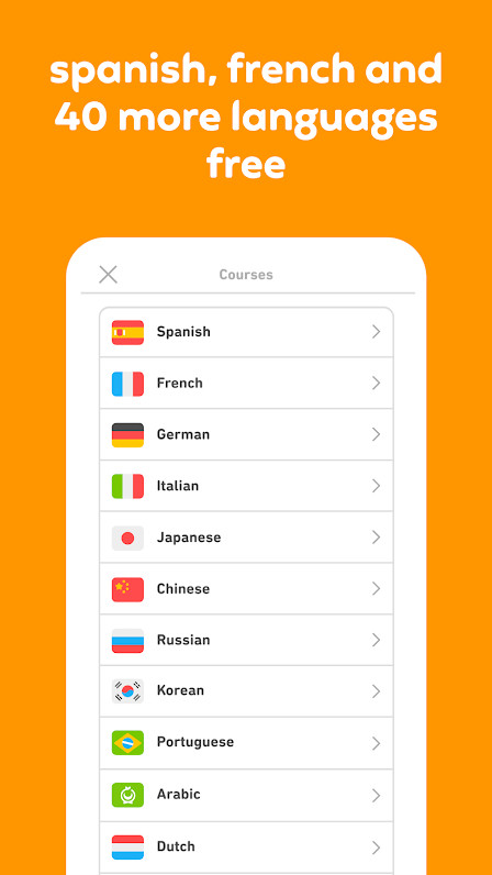 Duolingo image 1