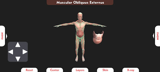 3D Human Anatomy Learning App Screen 3