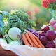 Vegetarian Beginners Guide Download on Windows