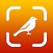 FotoBird 鳥の識別 - Androidアプリ